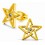 Mon-bijou - H29501 - Boucle d'oreille étoile doré en acier inoxydable