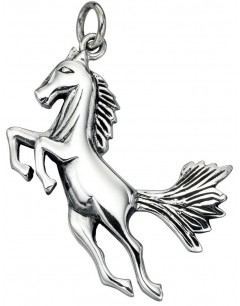 Mon-bijou - D3917 - Collier cheval en argent 925/1000