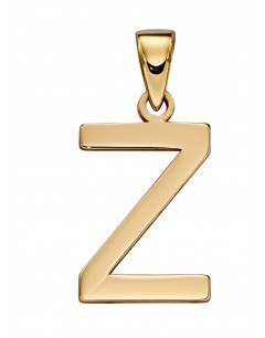 Mon-bijou - D2223 - Collier lettre Z en or 375/1000