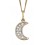 Collier lune diamant en or 375