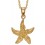 Mon-bijou - D2258 - Collier étoile de mer en or 375/1000