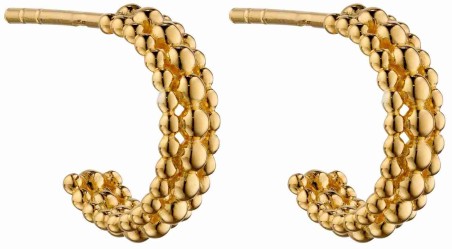 Mon-bijou - D6009 - Boucle d'oreille plaqué or en argent 925/1000