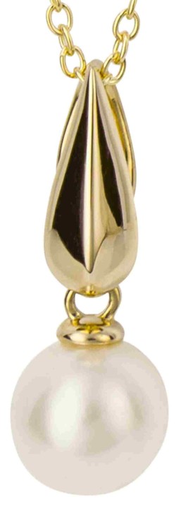 Mon-bijou - D1012c - Collier perle en or 375