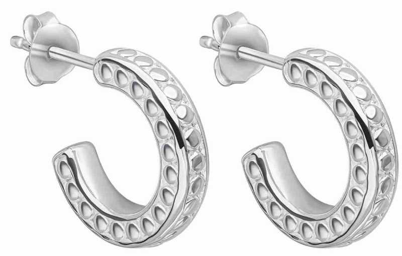 Boucle d'oreille tendance en argent 925