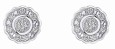 Boucle d'oreille diamant en or blanc 375