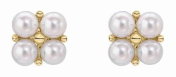Mon-bijou - D2464 - Boucle d'oreille perle en or 375
